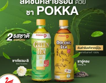 ชา POKKA 2 รสชาติยอดนิยม ชาอู่หลง และ ชาเขียวมะลิ