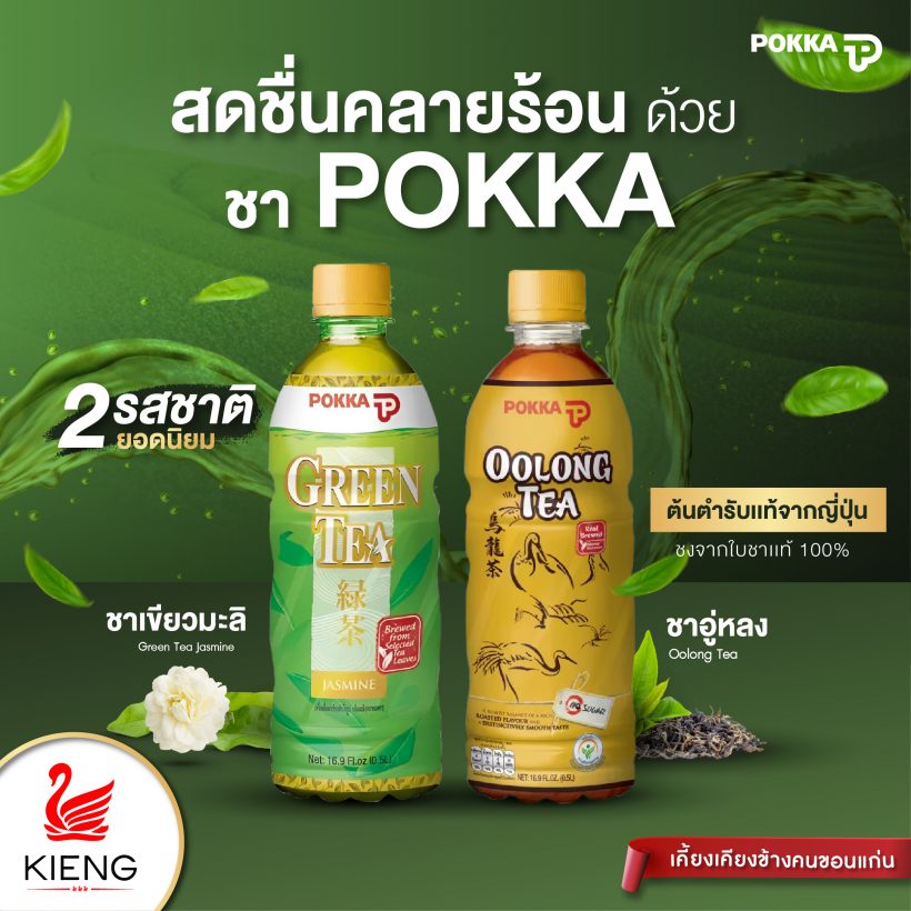 ชา POKKA 2 รสชาติยอดนิยม ชาอู่หลง และ ชาเขียวมะลิ